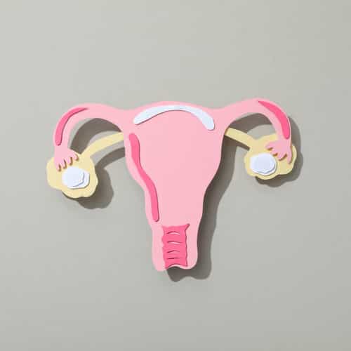 Polycystic Ovary Syndrome (PCOS): Understanding the Condition and Fertility Challenges